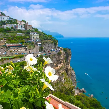 Fragola Amalfi